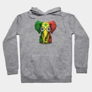 Baby Elephant with Glasses and Senegal Flag Hoodie